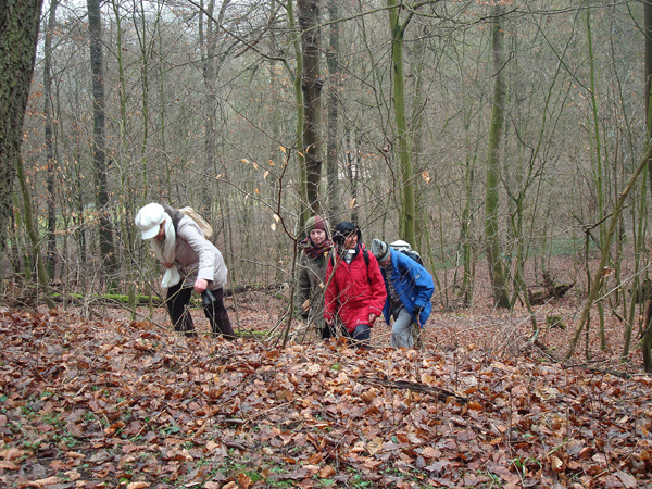 Wandern%20nach%20Balduinstein%2017.2.13%20004_3072x2304